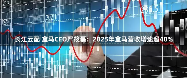 长江云配 盒马CEO严筱磊：2025年盒马营收增速超40%